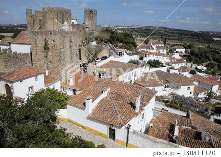 Flowers grow on a rustic rooftop in a countryside setting 130811120