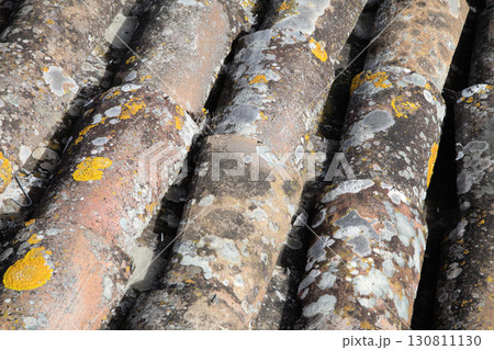 Roof tiles arranged in a wave pattern on an old building under natural sunlight 130811130