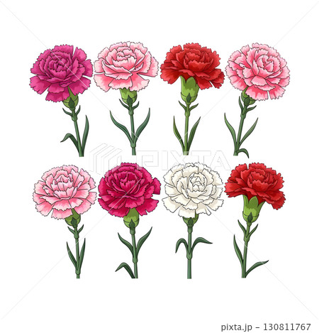 Set of Flowers illustration design 130811767