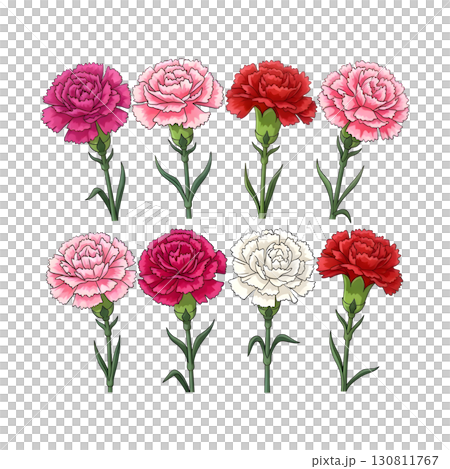 Set of Flowers illustration design 130811767