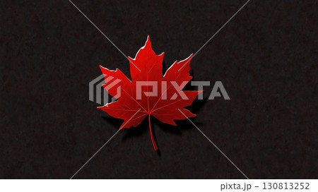 Negative Space Maple 130813252