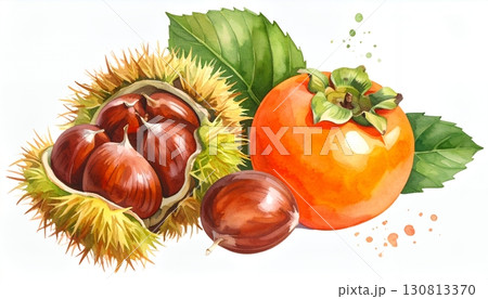 水彩画のイガ栗と柿 130813370