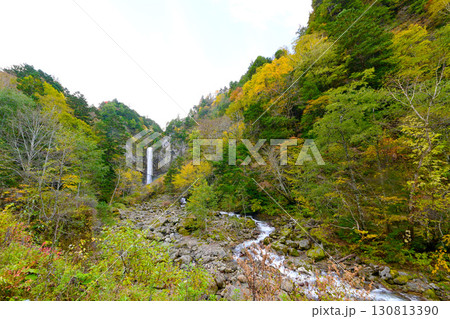 紅葉に包まれた　秋の平湯大滝  130813390