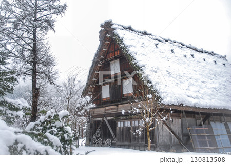 雪の白川郷、合掌造り民家の窓から漏れる温かな灯りと冬の夜の静寂 雪の白川郷、合掌造り民家の窓から漏れる温かな灯りと冬の夜の静寂 130813508