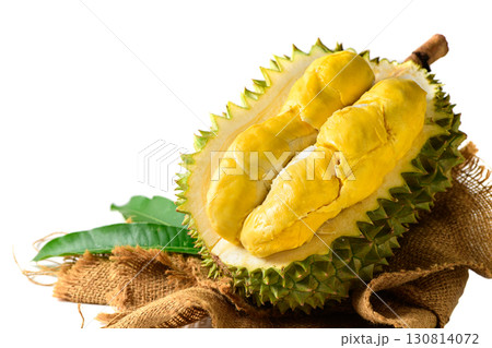 Fresh Durian Fruit or Durio zibethinus Opened on White Background .Exotic Tropical Thai King of Fruits Fresh Durian Fruit or Durio zibethinus Opened on White Background .Exotic Tropical Thai King of Fruits 130814072