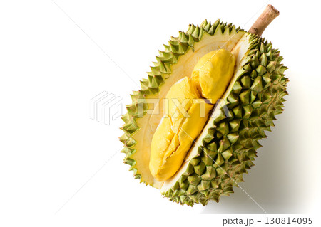 Ripe durian fruit or Durio zibethinus with yellow creamy pulp exposed, isolated on white background. Known as the king of fruits in Southeast Asia. Popular in Thailand, Malaysia, and Indonesia. Ripe durian fruit or Durio zibethinus with yellow creamy pulp exposed, isolated on white background. Known as the king of fruits in Southeast Asia. Popular in Thailand, Malaysia, and Indonesia. 130814095
