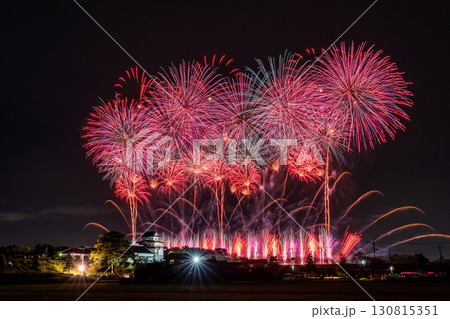 《千葉県》利根川花火大会と関宿城・千葉県野田市側から撮影 《千葉県》利根川花火大会と関宿城・千葉県野田市側から撮影 130815351