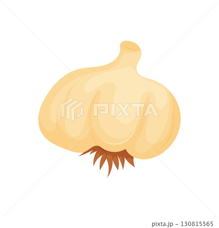 Single Bulb, Abstract Organic Shape. Pale Yellow and Brown, Smooth Surface Texture. Single Bulb, Abstract Organic Shape. Pale Yellow and Brown, Smooth Surface Texture. 130815565