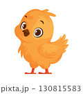 Animated Chick Illustration. Orange Fur, Cute, Cartoon Style, White Background. 130815583