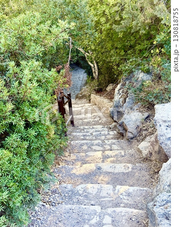 The stairs leading down are made of stone. Concrete pathway through lush greenery outdoors. The stairs leading down are made of stone. Concrete pathway through lush greenery outdoors. 130818755