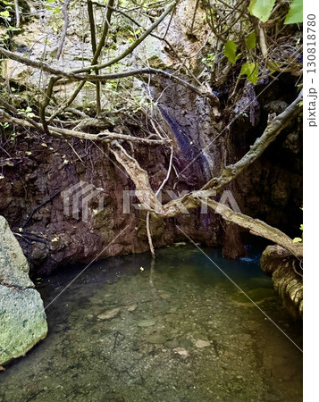 Natural spring water source in tropical forest. A place in Cyprus in Paphos where the goddess Aphrodite bathed in ancient times. 130818780