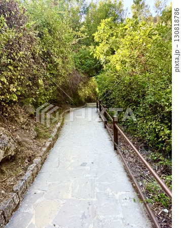 Concrete pathway through lush greenery outdoors. A walking path paved with stones. Concrete pathway through lush greenery outdoors. A walking path paved with stones. 130818786