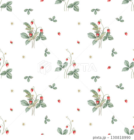 Botanical, kids style seamless pattern with wild strawberry flowers and berries on a white background. Background for children's room decor, wallpaper. Hand drawn illustration woodland strawberries. 130818990