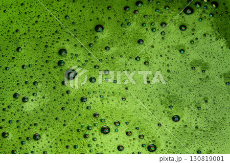 Vibrant Matcha Foam. Close-up of freshly whisked matcha with a frothy Vibrant Matcha Foam. Close-up of freshly whisked matcha with a frothy 130819001