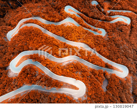 Aerial view of mountain curvy road and red forest in autumn 130819047