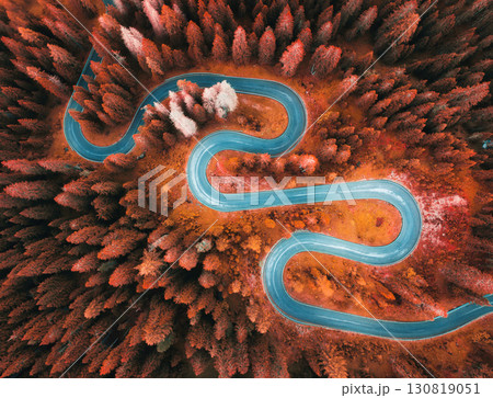 Aerial view of mountain curvy road and red forest in autumn 130819051