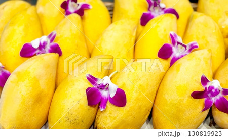 Vibrant yellow mangoes adorned with purple orchids in a neat row create an exotic display. Perfect for showcasing tropical freshness and organic produce, ideal for market and health promotion Vibrant yellow mangoes adorned with purple orchids in a neat row create an exotic display. Perfect for showcasing tropical freshness and organic produce, ideal for market and health promotion 130819923