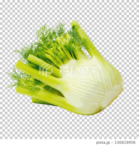 Fresh Fennel Herb on Transparent Background Ideal for Culinary Designs and Healthy Recipe Graphics 130819956