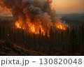 Forest wildfire engulfing trees with smoke and flames creating dramatic sunset atmosphere 130820048