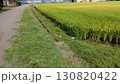 草を刈った後 130820422