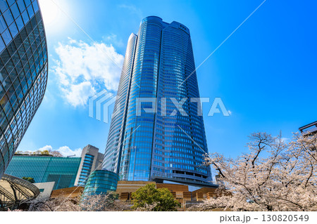 東京　港区 六本木　毛利庭園の桜と六本木ヒルズ 130820549