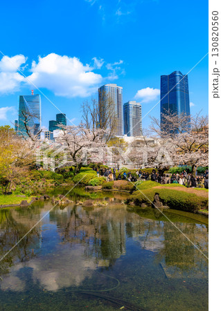 東京　港区 六本木　毛利庭園の桜と麻布台ヒルズ 130820560