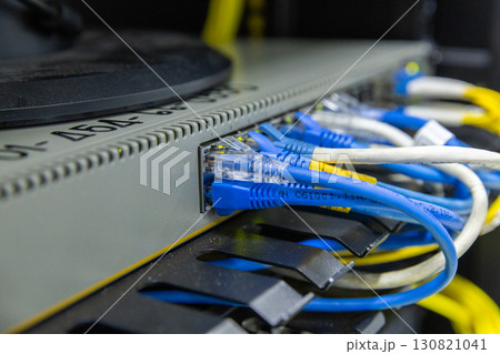 Network cables connected to switches.  130821041