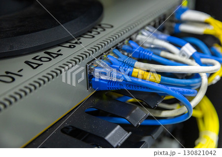 Network cables connected to switches.  130821042