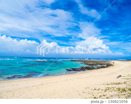 夏の土盛海岸（鹿児島県 奄美大島） 130821056