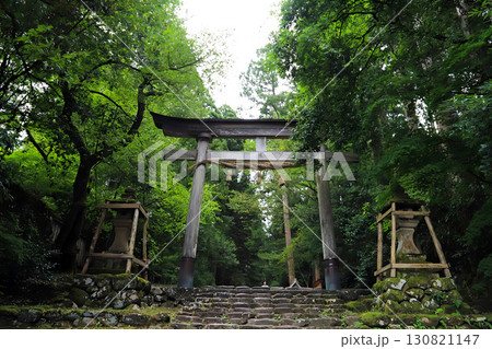 福井・平泉寺白山神社の鳥居 130821147