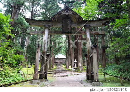 福井・平泉寺白山神社の鳥居 130821148