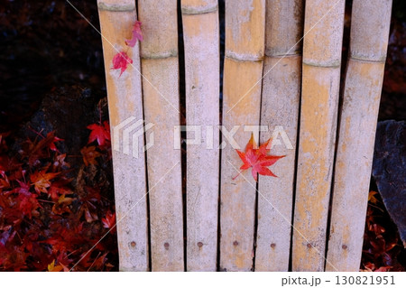 竹柵と紅葉のイメージ 130821951