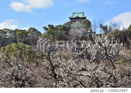 大阪城の梅 130822087