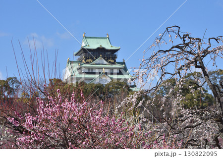 大阪城の梅 130822095