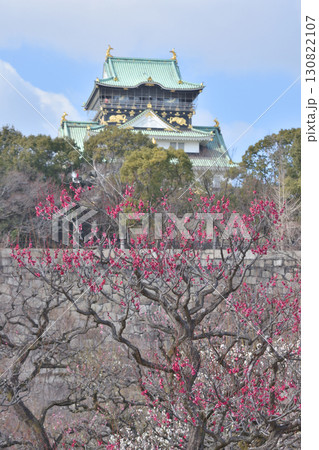 大阪城の梅 130822107