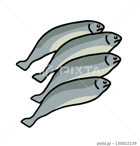 four raw sardines outline color vector illustration 130822239