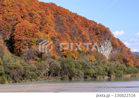 北海道平取町、沙流川沿いの紅葉【10月】 130822516