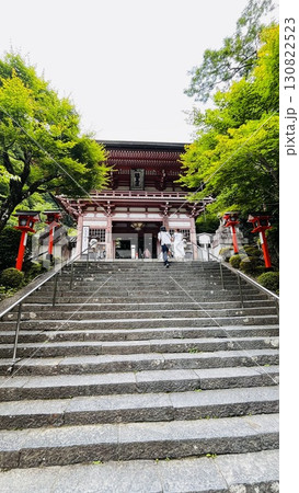 新緑に覆われた蔵馬寺の参道階段 130822523
