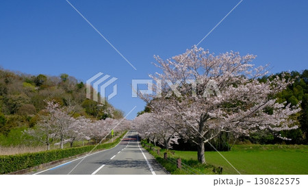 快晴の一直線の道のイメージ素材 130822575
