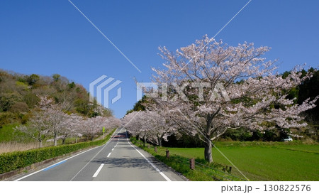 快晴の一直線の道のイメージ素材 快晴の一直線の道のイメージ素材 130822576