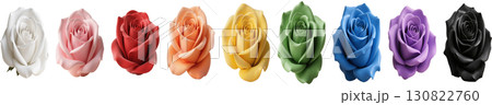 カラフルな薔薇 カラフルな薔薇 130822760