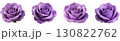 紫色の薔薇の花 130822762