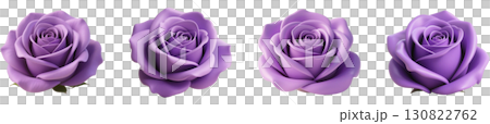 Purple rose flower 130822762