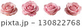 ピンク色の薔薇の花 130822768