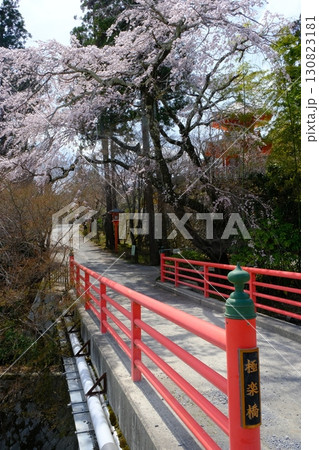 京都正法寺の枝垂れ桜と朱塗り橋 京都正法寺の枝垂れ桜と朱塗り橋 130823181