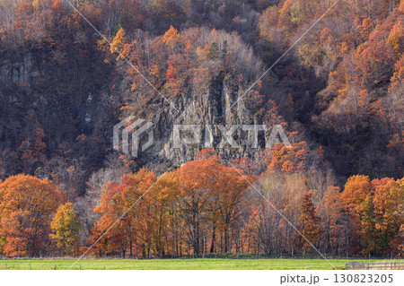 北海道平取町、紅葉の額平渓谷【10月】 130823205