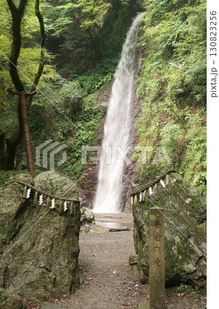 養老公園養老の滝 130823256