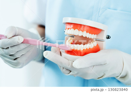 歯磨き指導をする歯科衛生士の手元 130823840