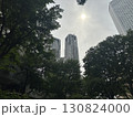 木々の間から見える高層ビル群 130824000