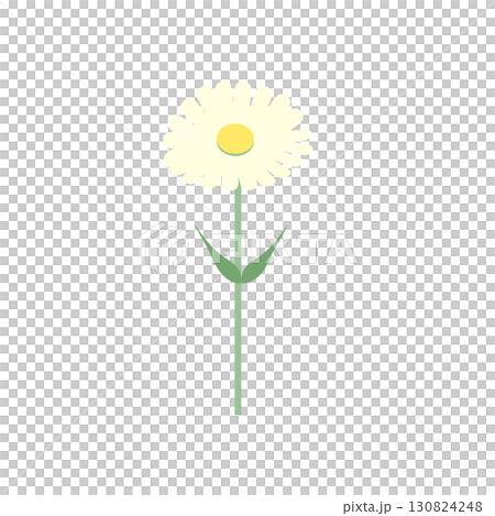 一朵簡單的雛菊 一朵簡單的雛菊 130824248